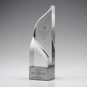 A sleek, modern glass recognition award with the inscription "wellness & spa innovation award 2018" for beauty and body care, standing against a grey background.
