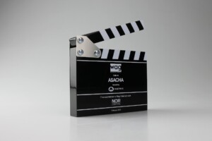 A deal toys movie clapperboard stands open against a white background. it displays text including "sale to sa," "asacha," "batch" and more, set for february 2021.
