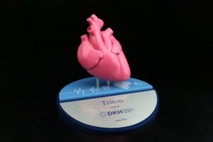 A pink 3d model of a human heart mounted on a blue stand with a deal toys label that reads "triton cardiovascular" and a logo of dkh, dated june 2021.