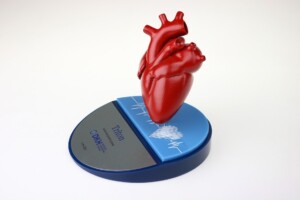 A realistic model of a human heart displayed on a blue stand with an ekg pattern and the word "think" written on it, against a plain white deal toys background.