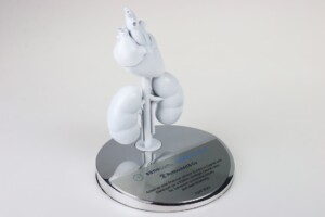 Detailed deal toys model of the human heart displayed on a chrome stand with an educational plaque, isolated on a white background.