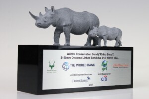 Deal toys model of a rhinoceros and its calf standing atop a platform labeled "wildlife conservation bond ('rhino bond')" with logos of the world bank, citi, and others, promoting a $150m bond due in 2027.