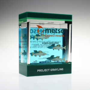 A green acrylic deal toys box labeled "project grayling" containing neatly organized stacks of informational leaflets about grayling fish, displayed on a reflective surface.